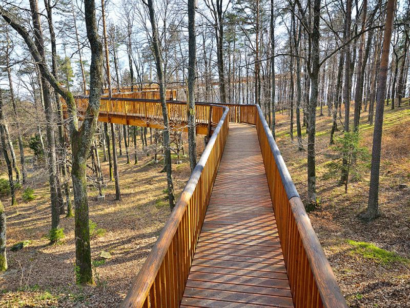 Accessible nature parks - wooden tree top walk with railing 