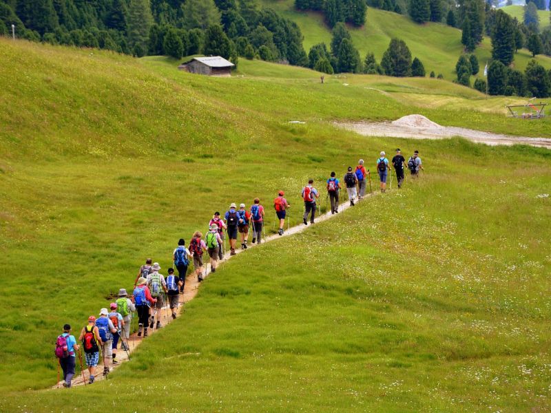 Long single file of hikers on a trail across a mountain meadow