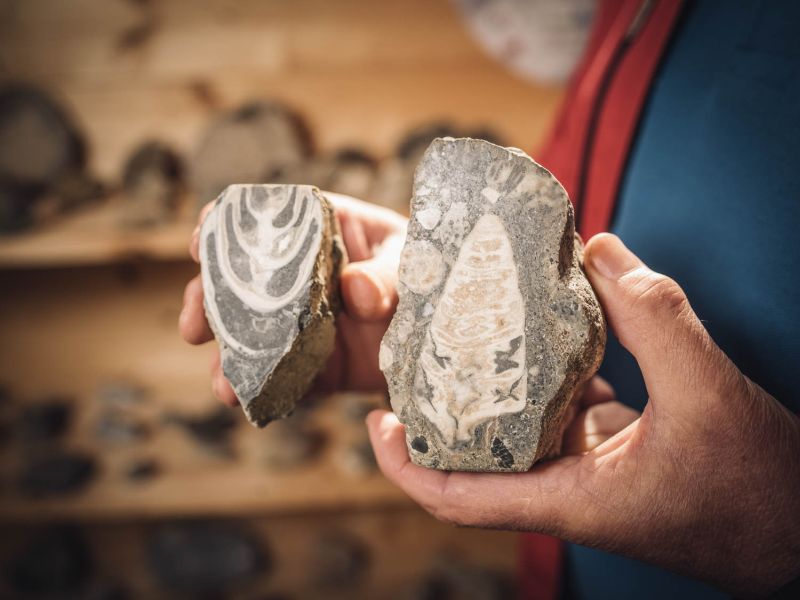 Hände zeigen Schnittflächen von Steinen - Älsterer Mann schneidet Steine mit Maschine _ interaktives Natur vermitteln